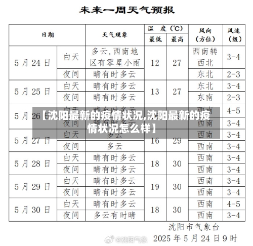 【沈阳最新的疫情状况,沈阳最新的疫情状况怎么样】-第2张图片