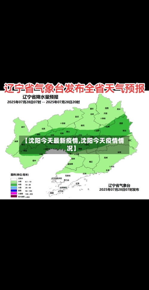 【沈阳今天最新疫情,沈阳今天疫情情况】-第3张图片