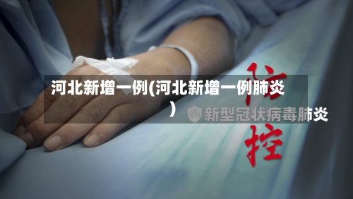 河北新增一例(河北新增一例肺炎)-第2张图片