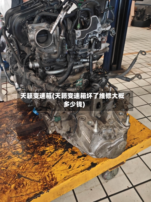 天籁变速箱(天籁变速箱坏了维修大概多少钱)