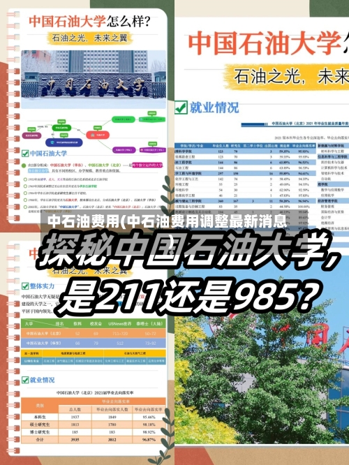 中石油费用(中石油费用调整最新消息)