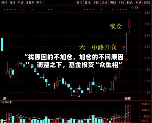 “找原因的不加仓，加仓的不问原因”	，调整之下，基金投资“众生相	”-第2张图片