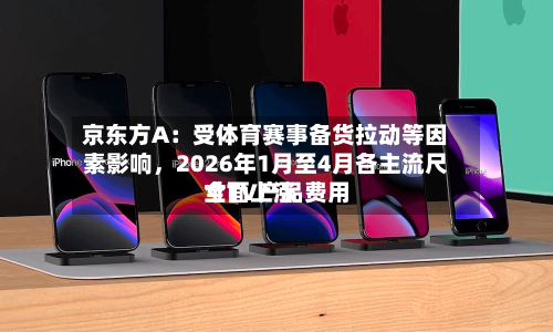京东方A：受体育赛事备货拉动等因素影响，2026年1月至4月各主流尺寸TV产品费用全面上涨