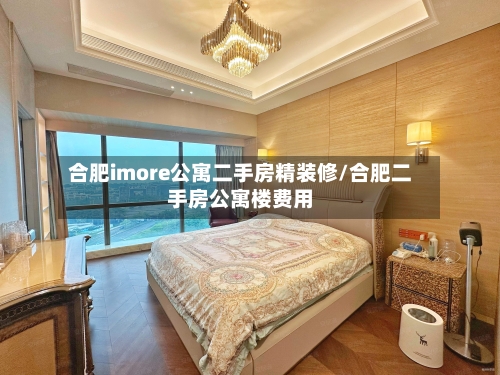 合肥imore公寓二手房精装修/合肥二手房公寓楼费用
