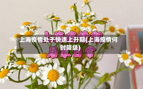 上海疫情处于快速上升期(上海疫情何时降级)-第2张图片