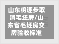 山东将逐步取消毛坯房/山东省毛坯房交房验收标准