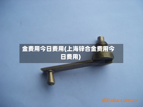 金费用今日费用(上海锌合金费用今日费用)-第2张图片