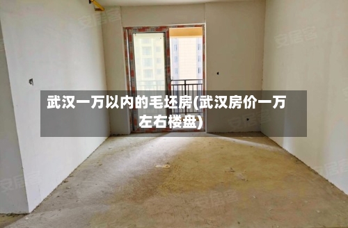 武汉一万以内的毛坯房(武汉房价一万左右楼盘)