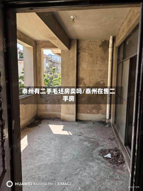 泰卅有二手毛坯房卖吗/泰州在售二手房