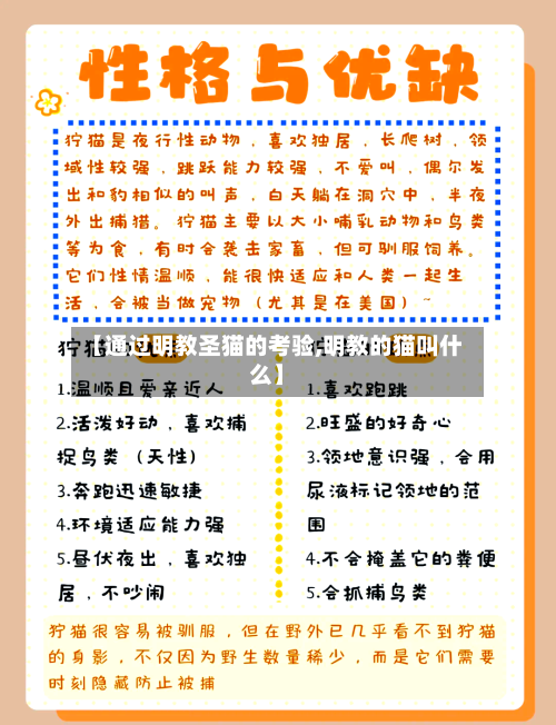 【通过明教圣猫的考验,明教的猫叫什么】-第2张图片
