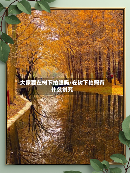 大家要在树下拍照吗/在树下拍照有什么讲究-第2张图片