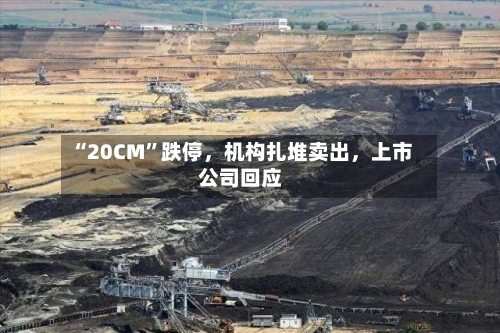 “20CM”跌停，机构扎堆卖出，上市公司回应-第2张图片