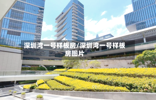 深圳湾一号样板房/深圳湾一号样板房图片-第3张图片