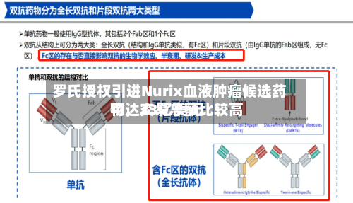 罗氏授权引进Nurix血液肿瘤候选药物，交易总额比较高可达23亿美元-第2张图片