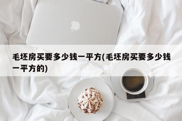 毛坯房买要多少钱一平方(毛坯房买要多少钱一平方的)