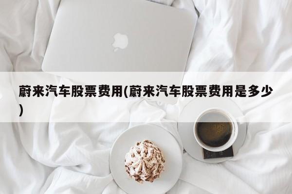 蔚来汽车股票费用(蔚来汽车股票费用是多少)