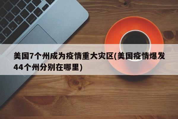 美国7个州成为疫情重大灾区(美国疫情爆发44个州分别在哪里)